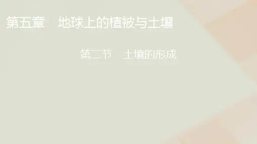 湘教版高中地理必修第一册第5章第2节土壤的形成课件