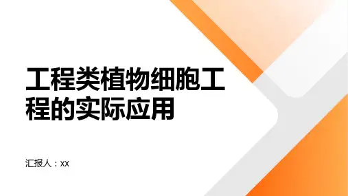 工程类植物细胞工程的实际应用