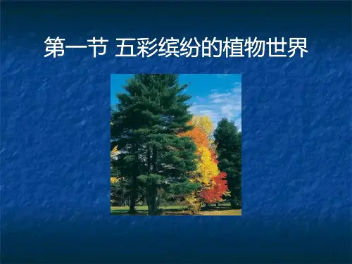 《五彩缤纷的植物世界》_优秀ppt课件下载