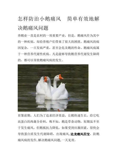 怎样防治小鹅痛风简单有效地解决鹅痛风问题