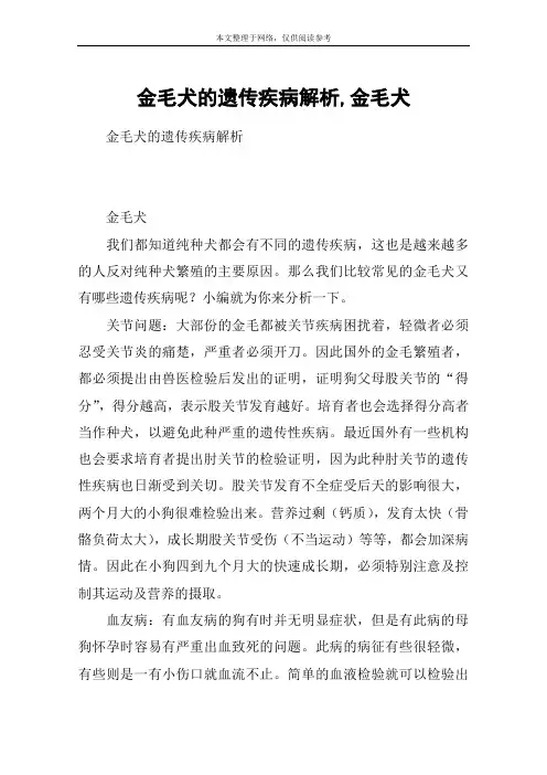 金毛犬的遗传疾病解析,金毛犬