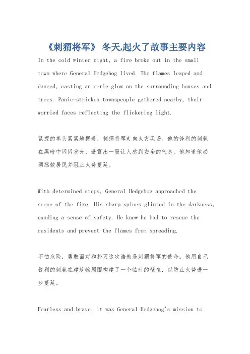 《刺猬将军》 冬天,起火了故事主要内容