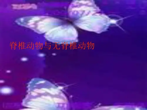 脊椎动物与无脊椎动物(主要介绍无脊椎动物)