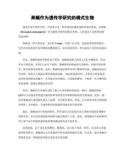 果蝇作为遗传学研究的模式生物
