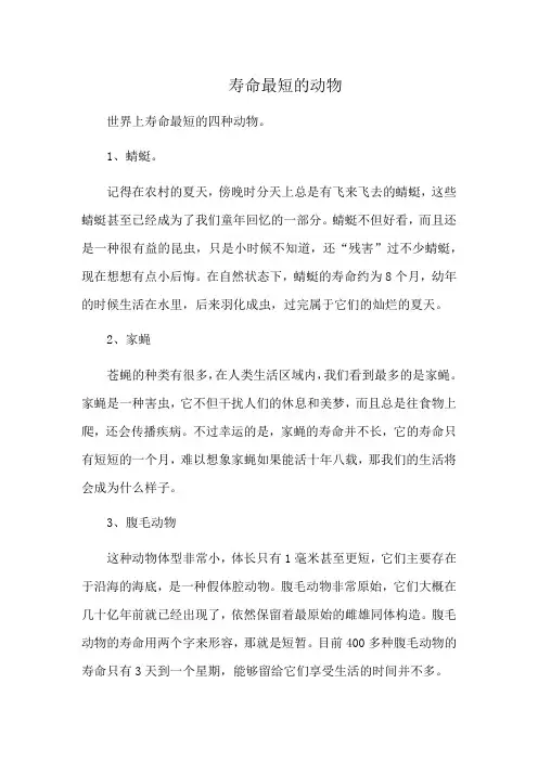 寿命最短的动物