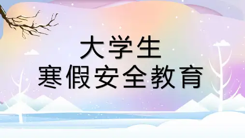 大学生寒假安全教育PPT