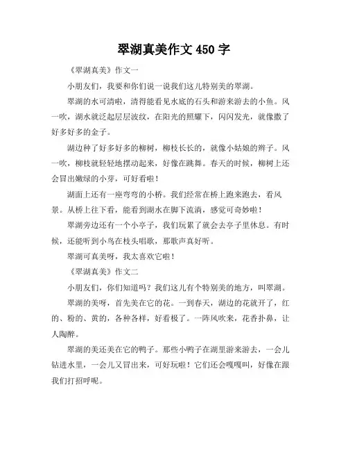 翠湖真美作文450字