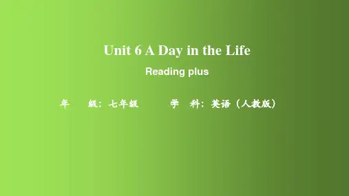 人教版(2024年)英语七年级上册+Unit+6++Reading+Plus+课件