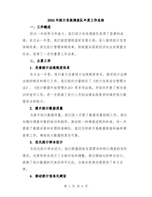 2024年统计系统调查队年度工作总结