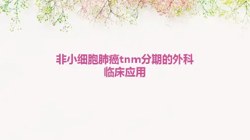 非小细胞肺癌TNM分期的外科临床应用