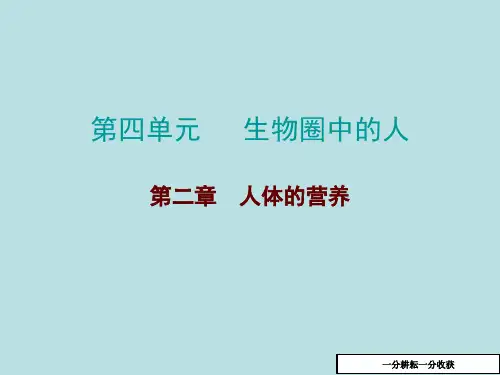 2017年中考生物第一轮教材知识梳理课件52(第四单元_生物圈中的人)AqMUPH