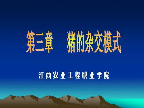 猪的杂交模式.ppt
