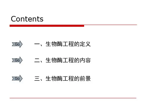 生物酶工程