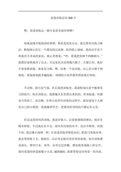 柔道训练总结500字