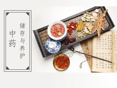 9-3果实与种子类中药材的储存与养护