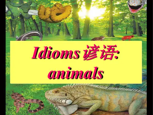 经典-动物习语整理
