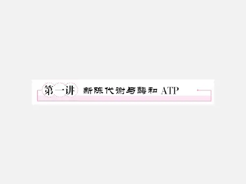高考生物 复习指导 第2单元 第1讲 新陈代谢与酶和ATP 新人教