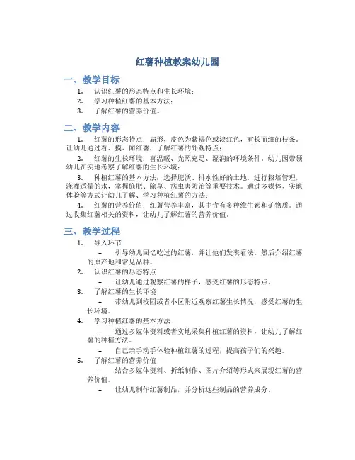 红薯种植教案幼儿园