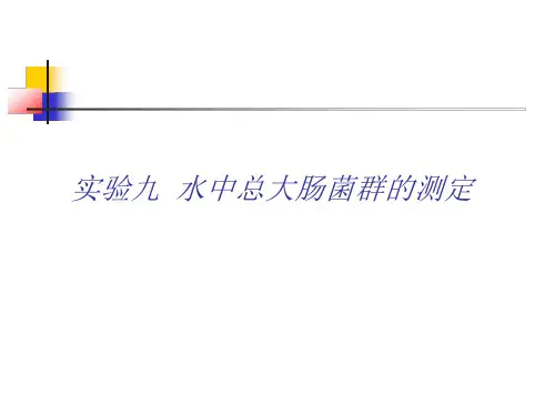 实验九 水中总大肠菌群的测定课件