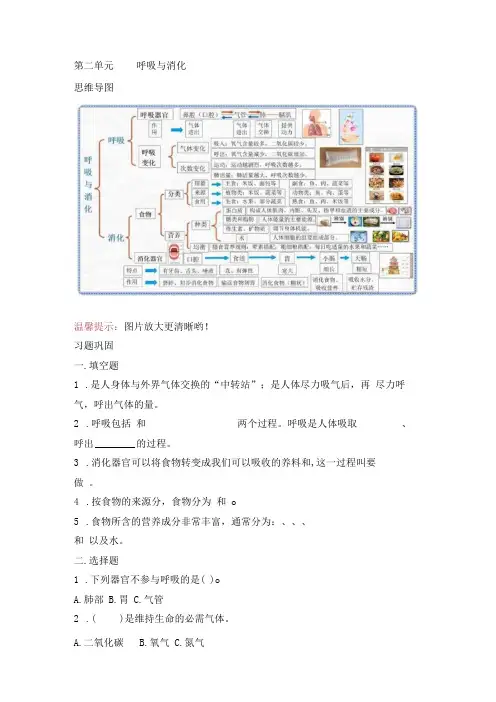 教科版小学四年级科学下册《第二单元：呼吸与消化》自学练习题及答案