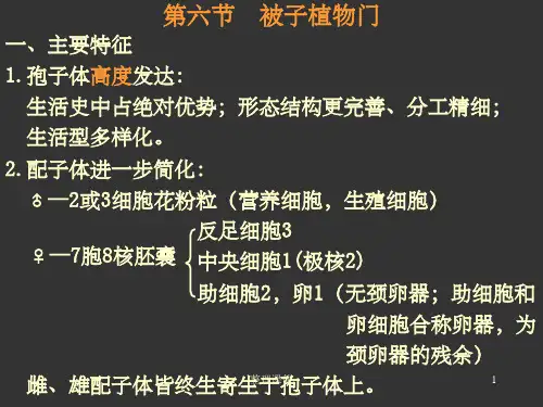 《植物系统分类》PPT课件