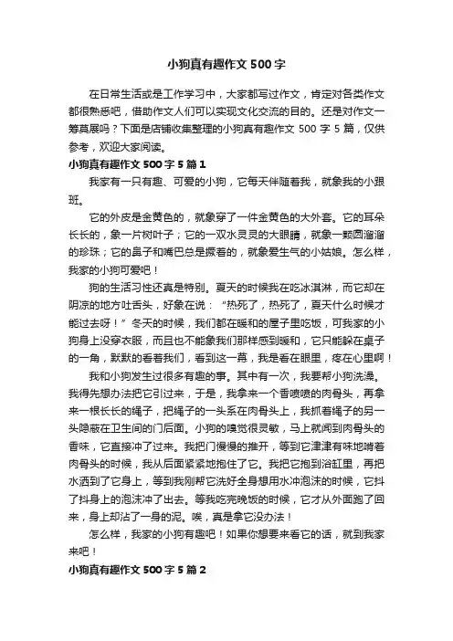 小狗真有趣作文500字