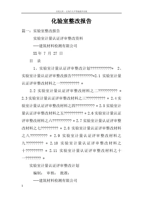 化验室整改报告doc