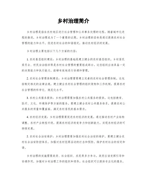 乡村治理简介