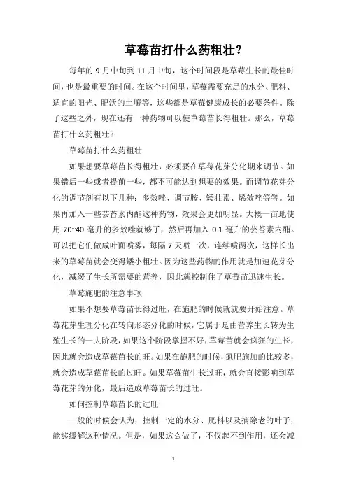 草莓苗打什么药粗壮？