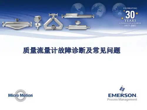 质量流量计常见问题与故障诊断