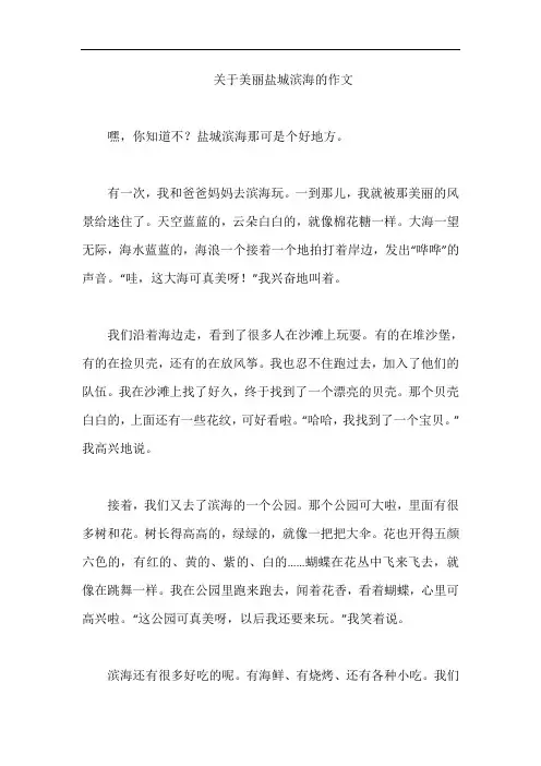 关于美丽盐城滨海的作文