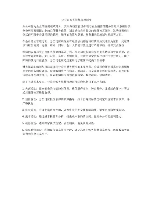 分公司账务核算管理制度