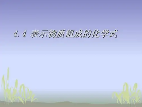 表示物质组成的化学式(优秀版)