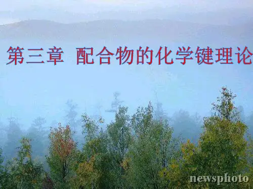 配位化学第三章
