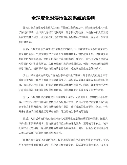 全球变化对湿地生态系统的影响