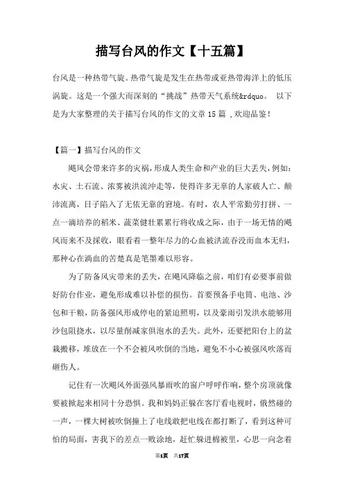 描写台风的作文【十五篇】