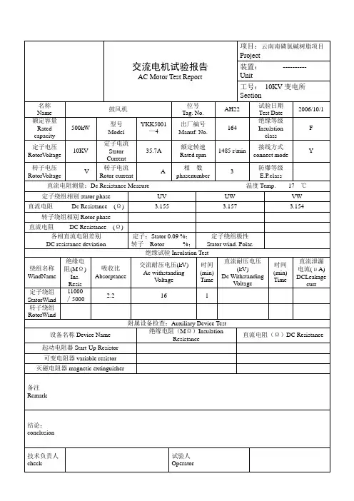 10KV电机试验报告OK