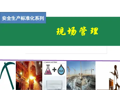 安全生产标准化   现场安全管理