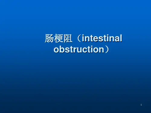 肠梗阻病例汇报