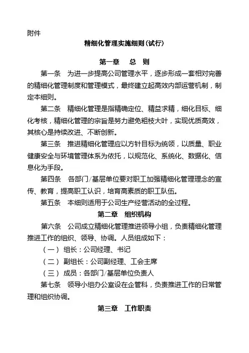 某公司精细化管理实施细则 精品