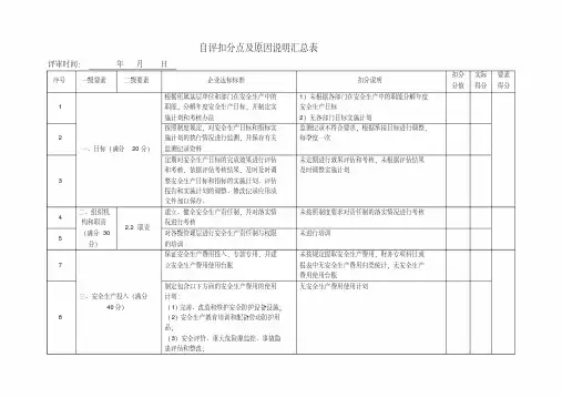 安全生产标准化自评扣分点及原因说明汇总表