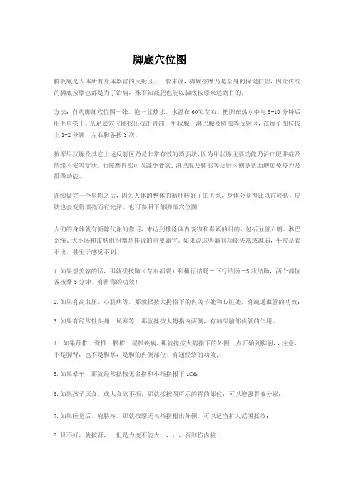 养生——脚底穴位图