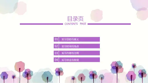 多彩清新通用大学生暑期社会实践报告PPT