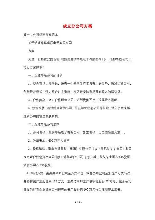 成立分公司方案