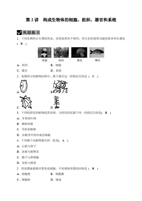 第2部分 第2讲 构成生物体的细胞、组织、器官和系统—2021届浙教版中考科学一轮复习巩固练习