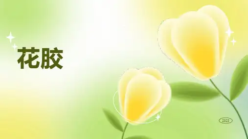 花胶的分类,营养以及用法
