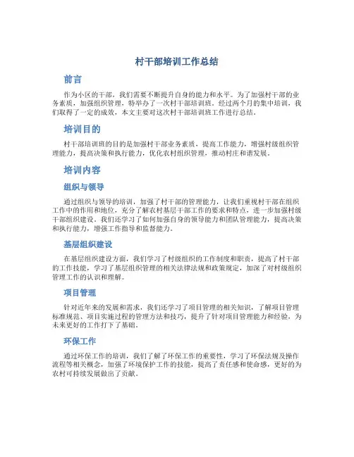 村干部培训工作总结