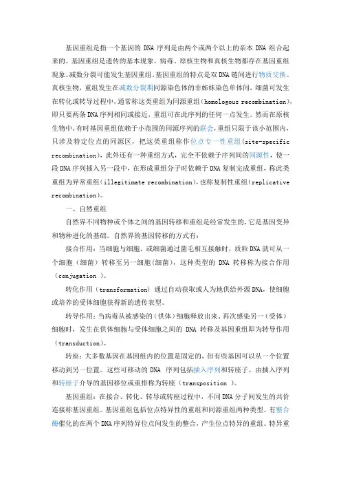 高中基因重组的两种类型