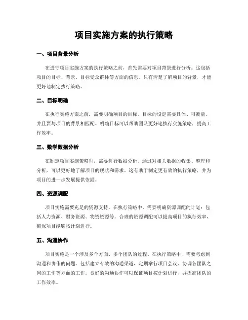 项目实施方案的执行策略