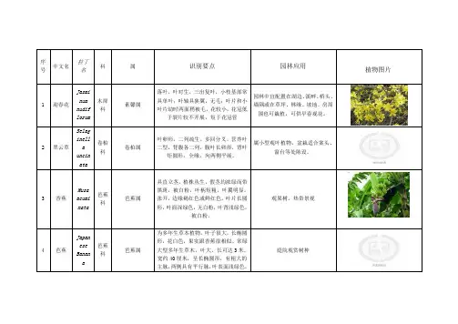 植物名录表